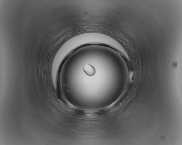 X0000097610376200802291307
