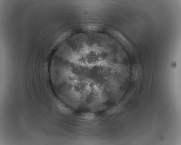 X0000097610377200802291307
