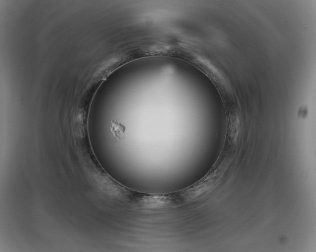 X0000097610378200802291307