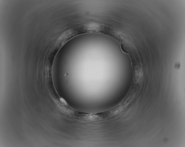 X0000097610379200802291307