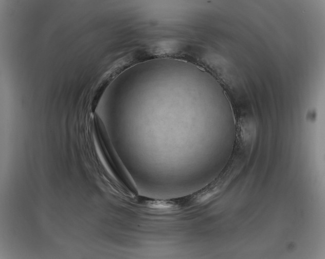 X0000097610380200802291307