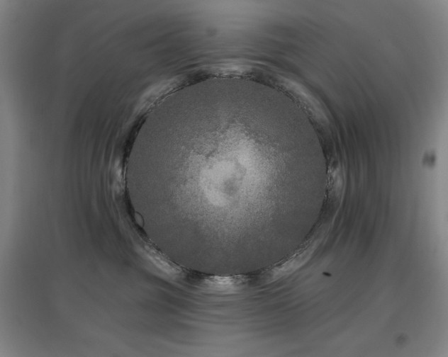 X0000097610381200802291307