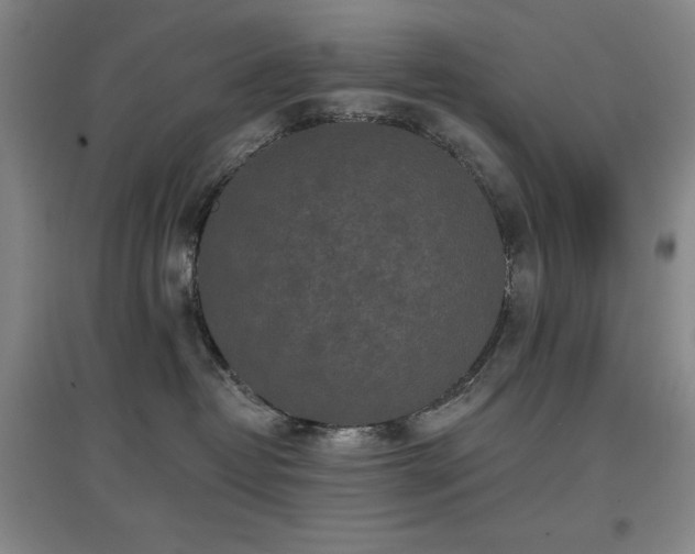 X0000097610382200802291307