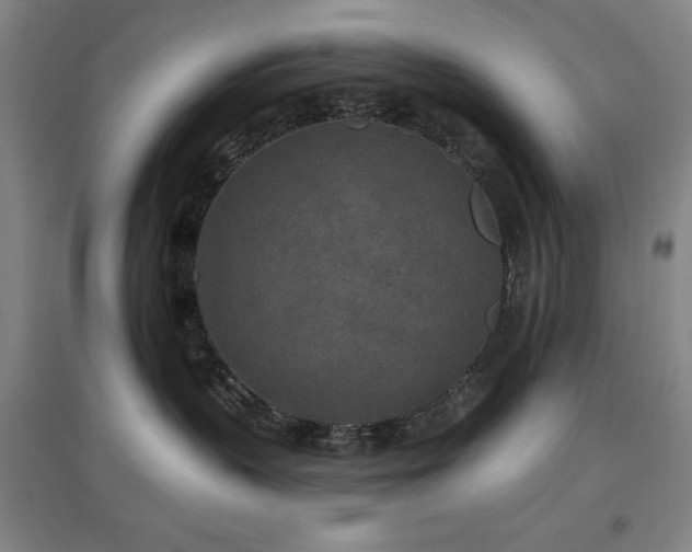 X0000097610383200802291307