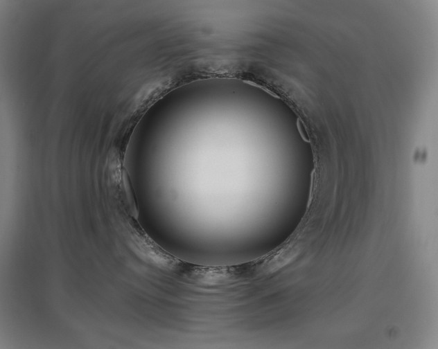 X0000097610384200802291307