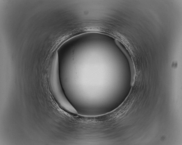 X0000097610385200802291307