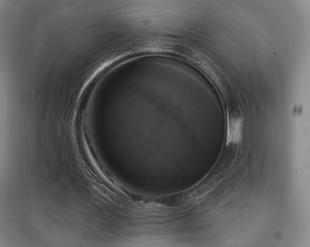 X0000097610387200802291307