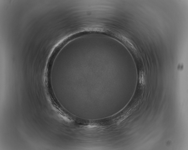 X0000097610388200802291307