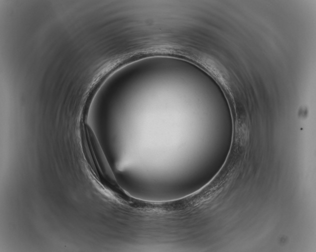 X0000097610389200802291307