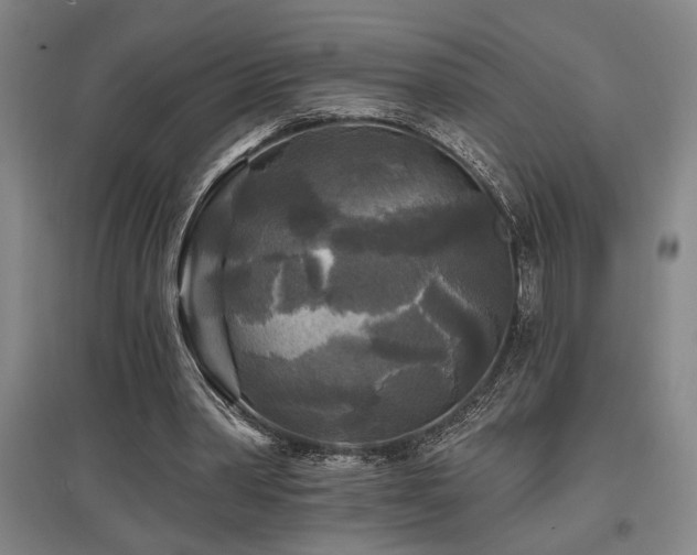 X0000097610390200802291307