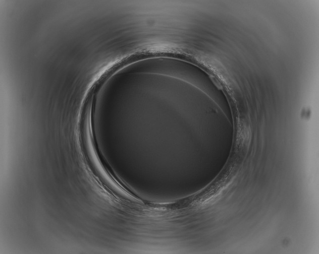 X0000097610391200802291307