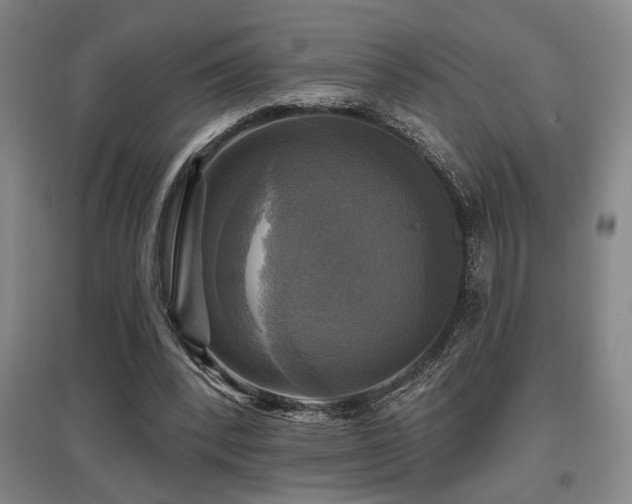 X0000097610392200802291307