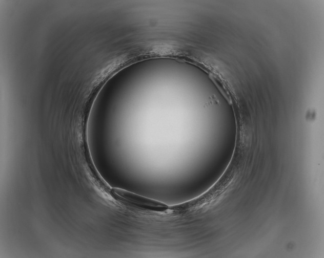 X0000097610393200802291307