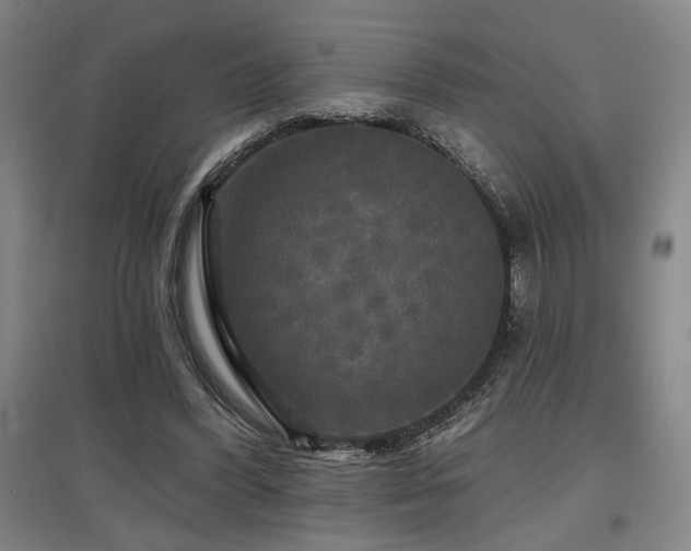 X0000097610396200802291307