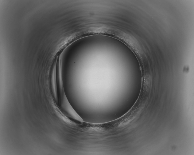 X0000097610397200802291307