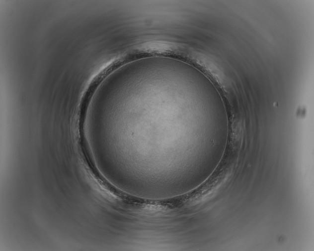 X0000097610399200802291307