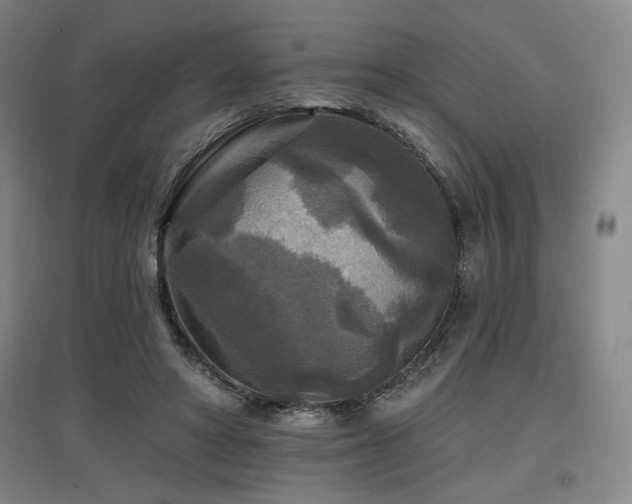 X0000097610402200802291307