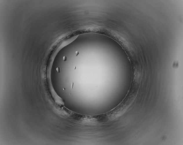 X0000097610403200802291307