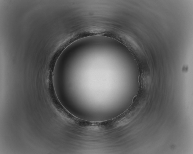 X0000097610404200802291307
