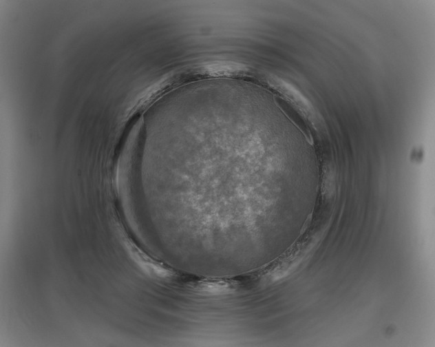 X0000097610405200802291307