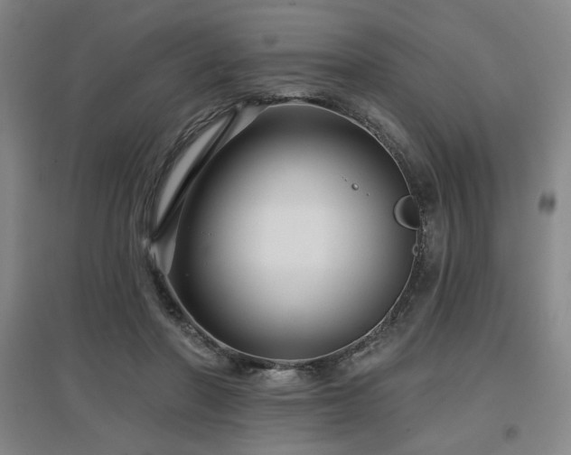 X0000097610406200802291306