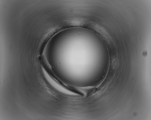 X0000097610407200802291306