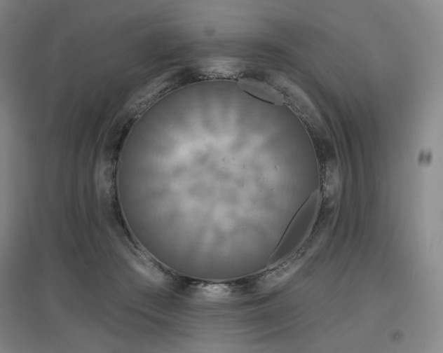 X0000097610409200802291306
