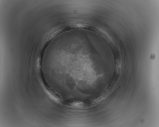 X0000097610410200802291306