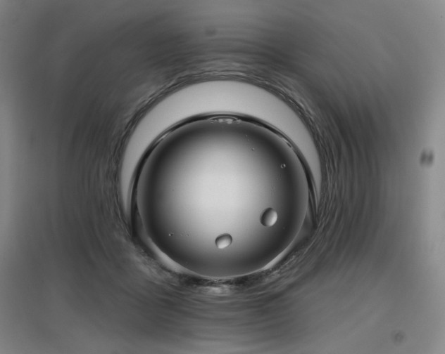 X0000097610411200802291306