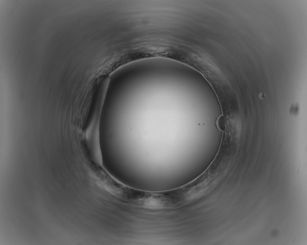 X0000097610412200802291306