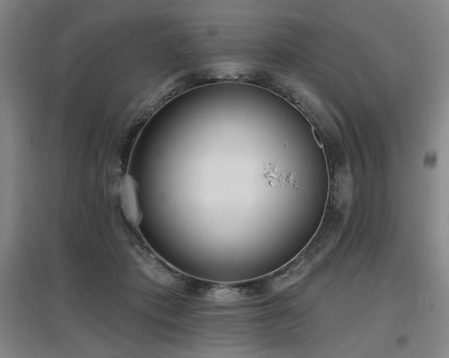X0000097610413200802291306