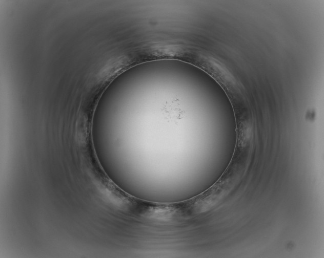 X0000097610414200802291306