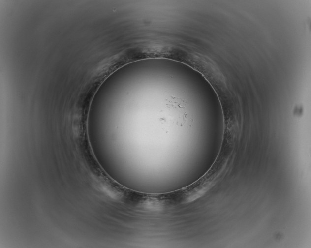 X0000097610416200802291306