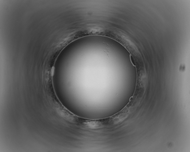 X0000097610417200802291306