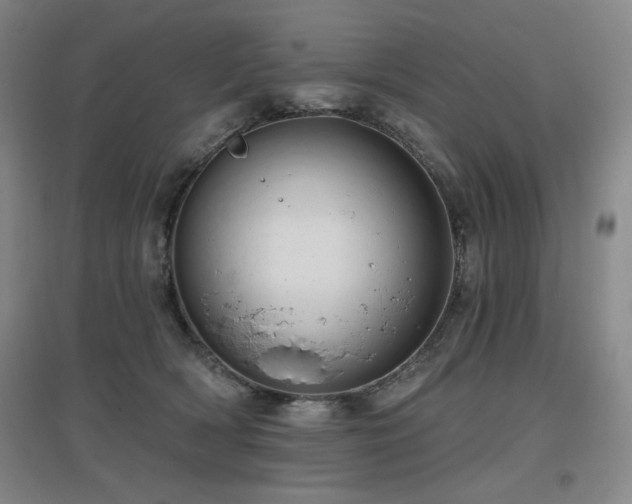 X0000097610418200802291306