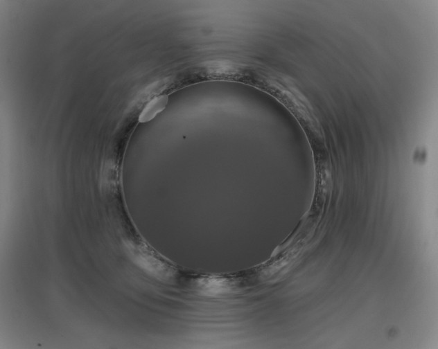 X0000097610419200802291306