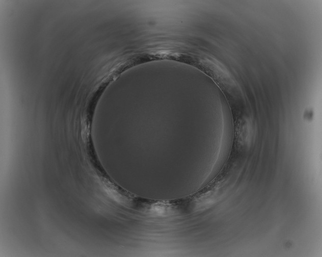 X0000097610420200802291306