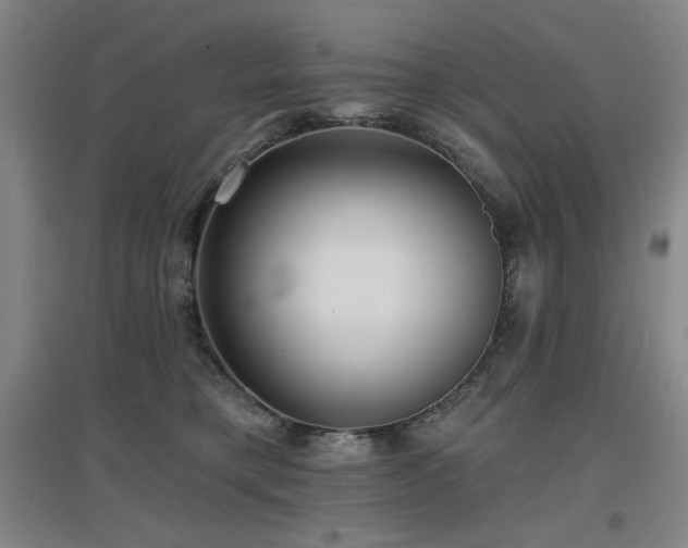 X0000097610421200802291306