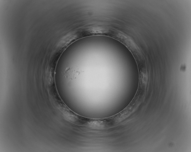 X0000097610422200802291306