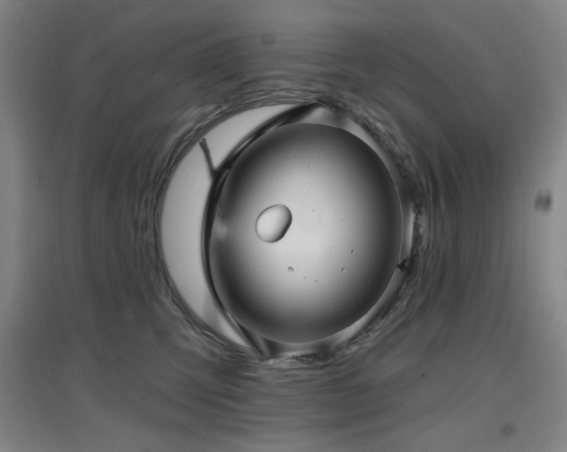 X0000097610423200802291306