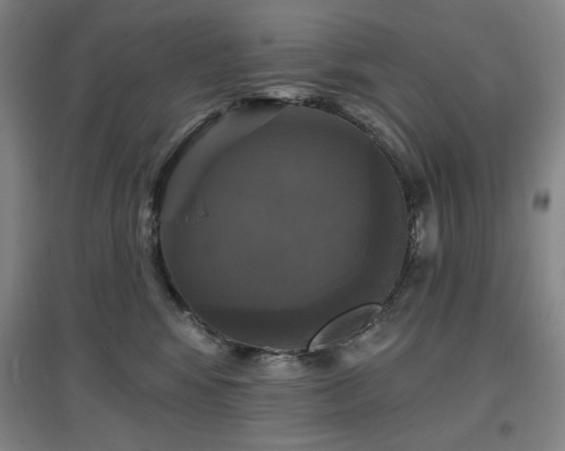 X0000097610424200802291306