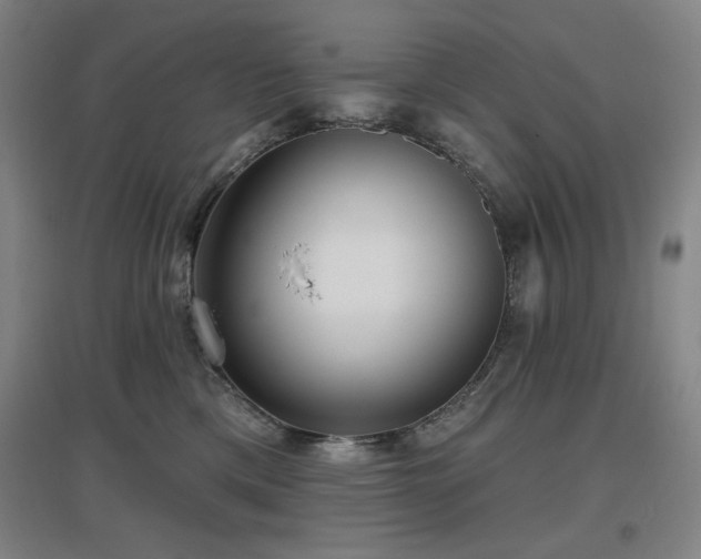 X0000097610425200802291306