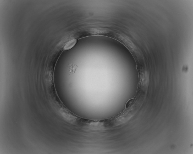 X0000097610426200802291306