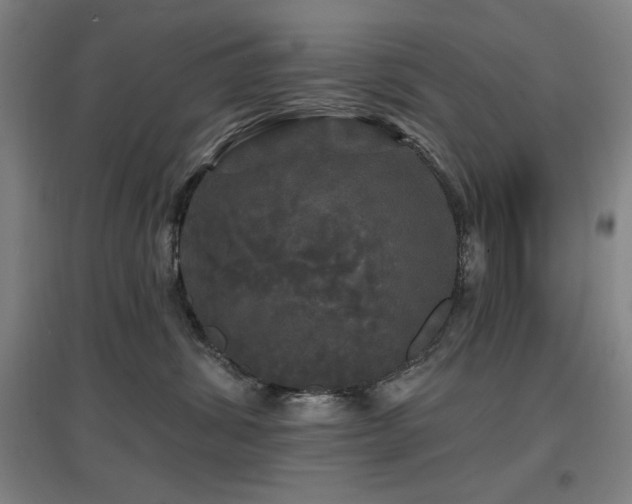 X0000097610428200802291306
