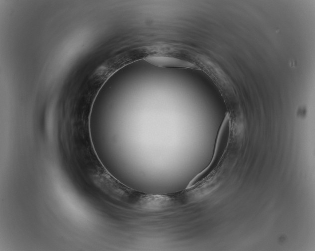 X0000097610429200802291306
