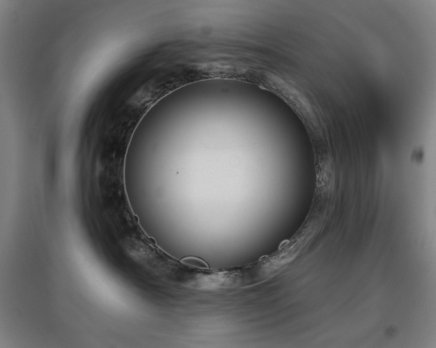 X0000097610430200802291306