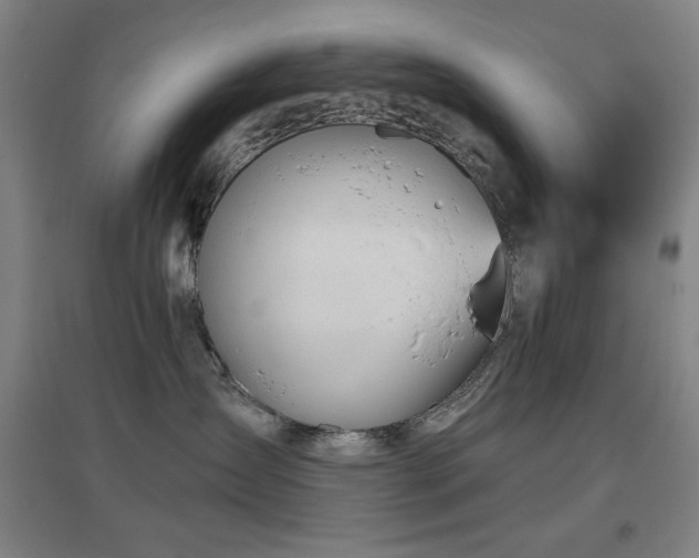 X0000097610431200802291306