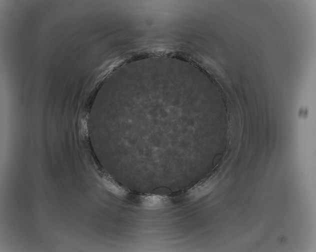 X0000097610432200802291306