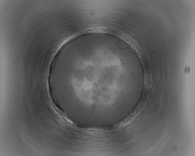 X0000097610434200802291305