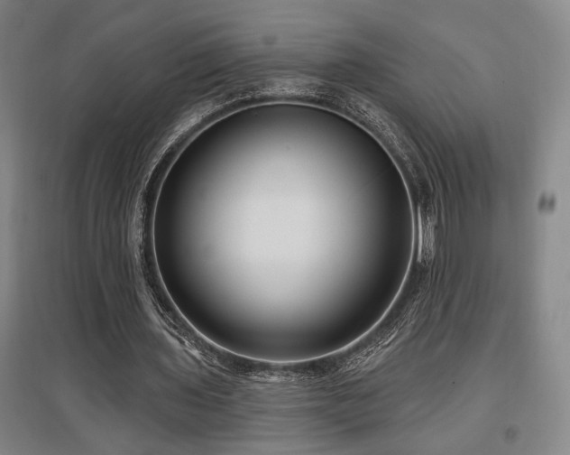 X0000097610435200802291305